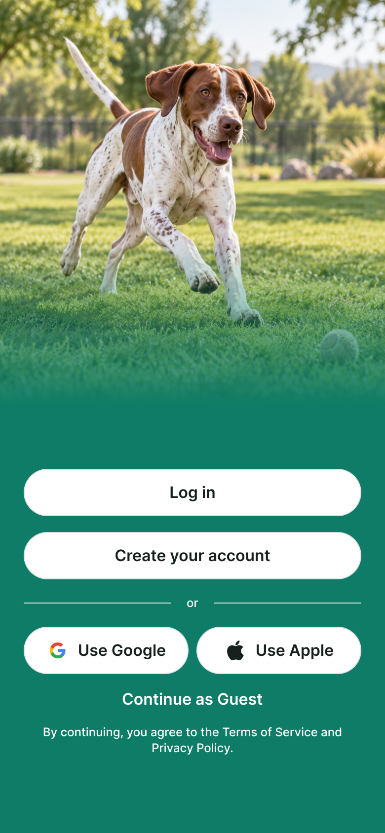 Welcome screen