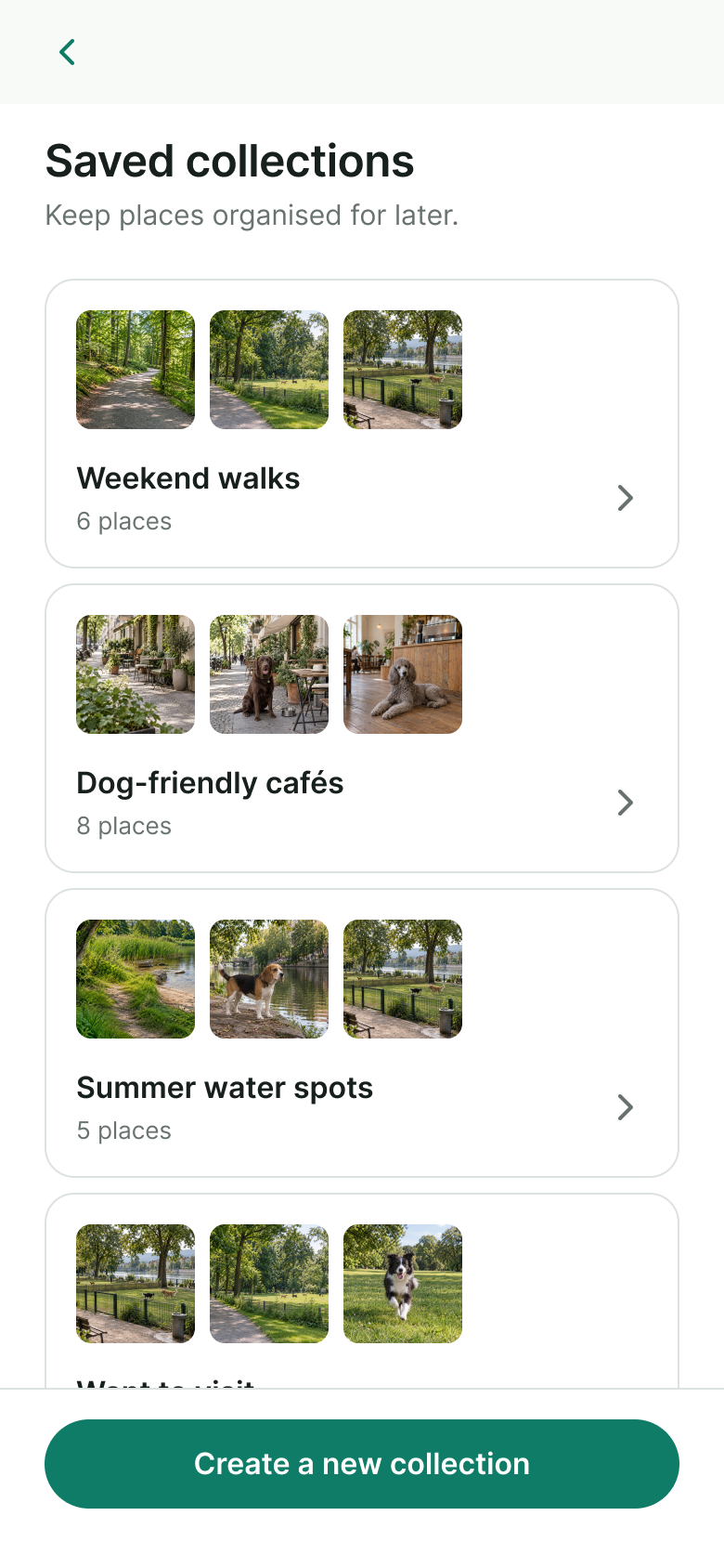 Collections screen
