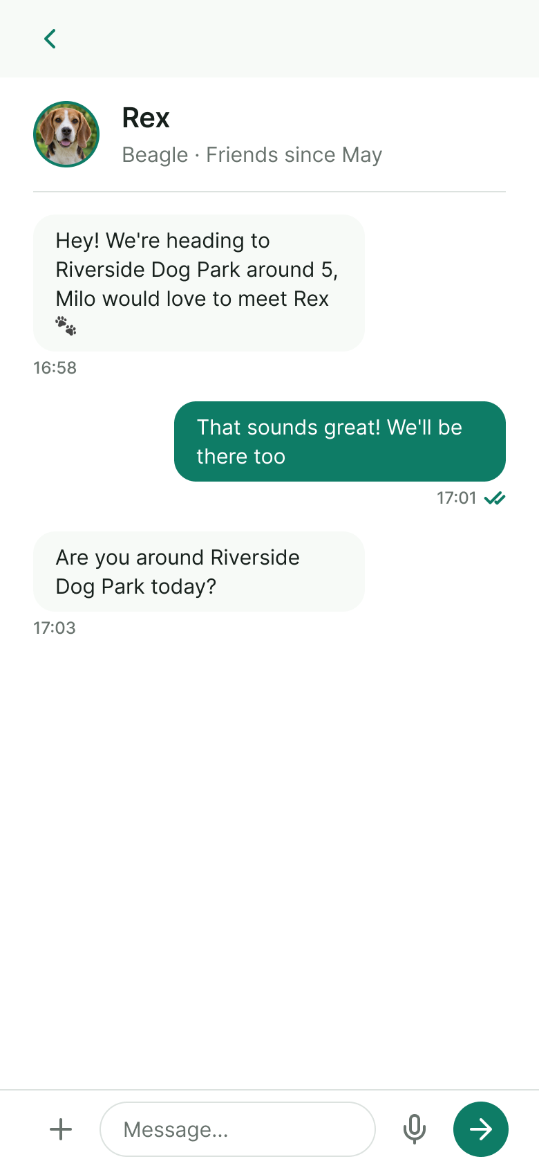 Chat screen
